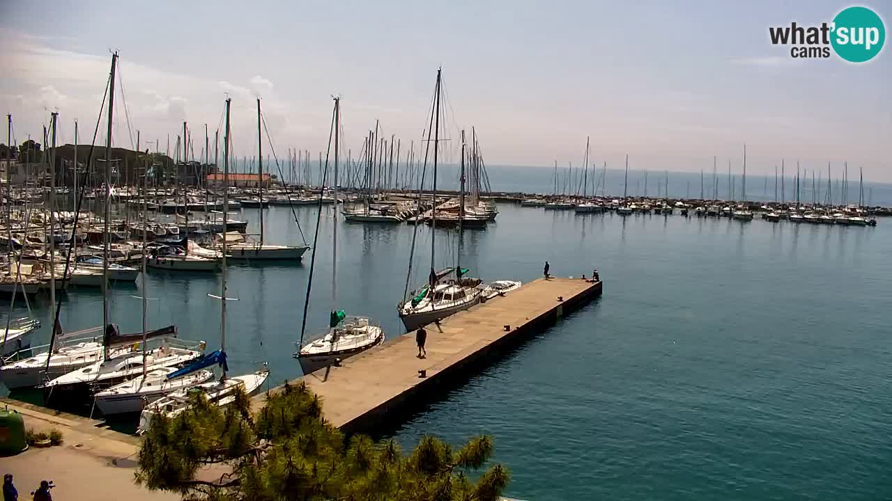 Spletna kamera Sesljan (Sistiana) – Pogled na marino in zaliv