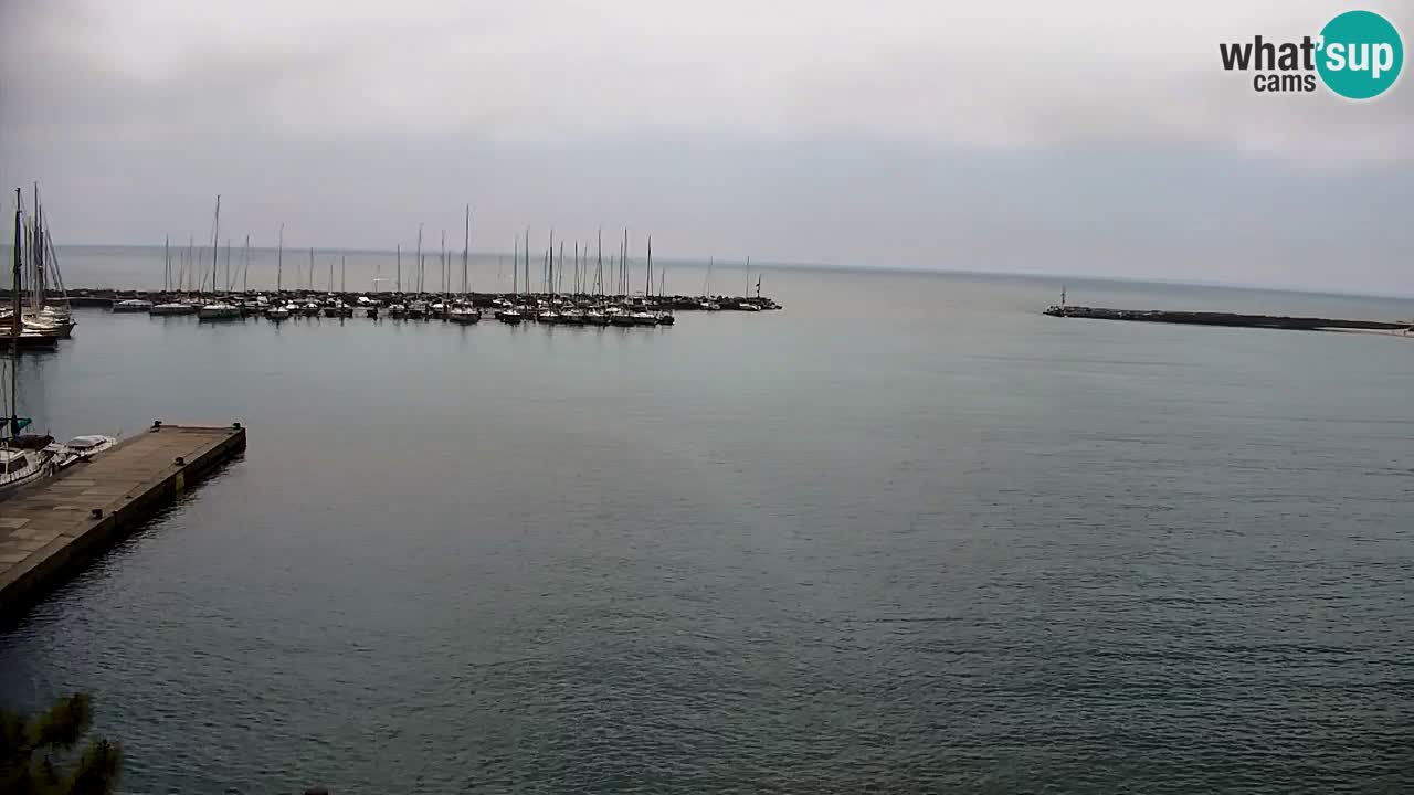 Webcam Sistiana – Vista sulla marina e sulla baia