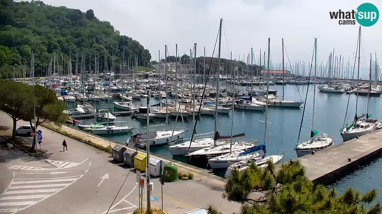 Webcam Sistiana – Pogled na marinu i zaljev
