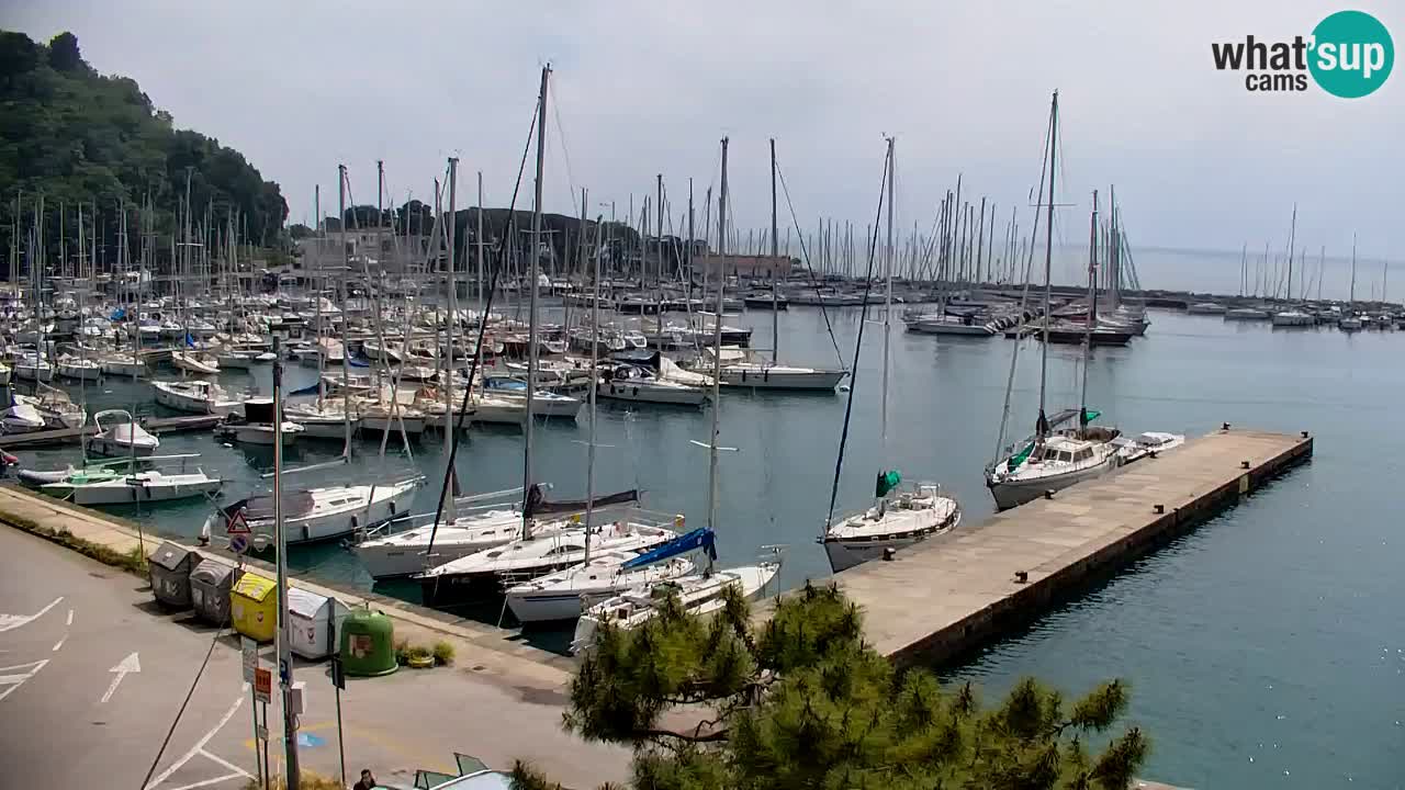 Webcam Sistiana – Marina and Bay Live View