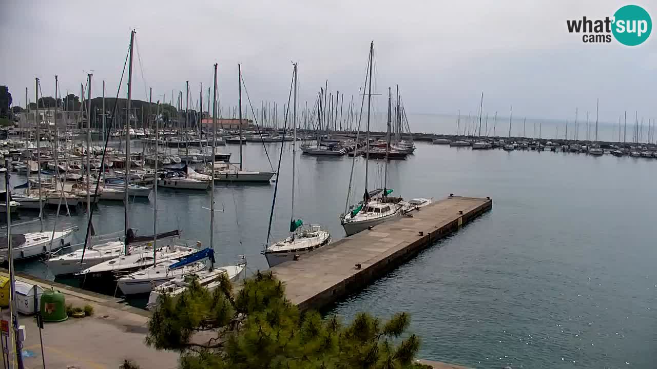 Webcam Sistiana – Marina and Bay Live View