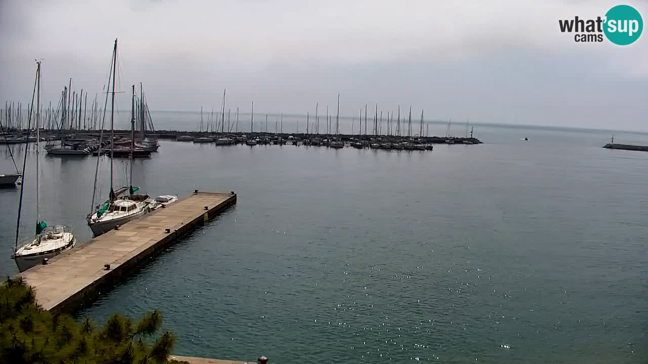 Webcam Sistiana – Marina and Bay Live View
