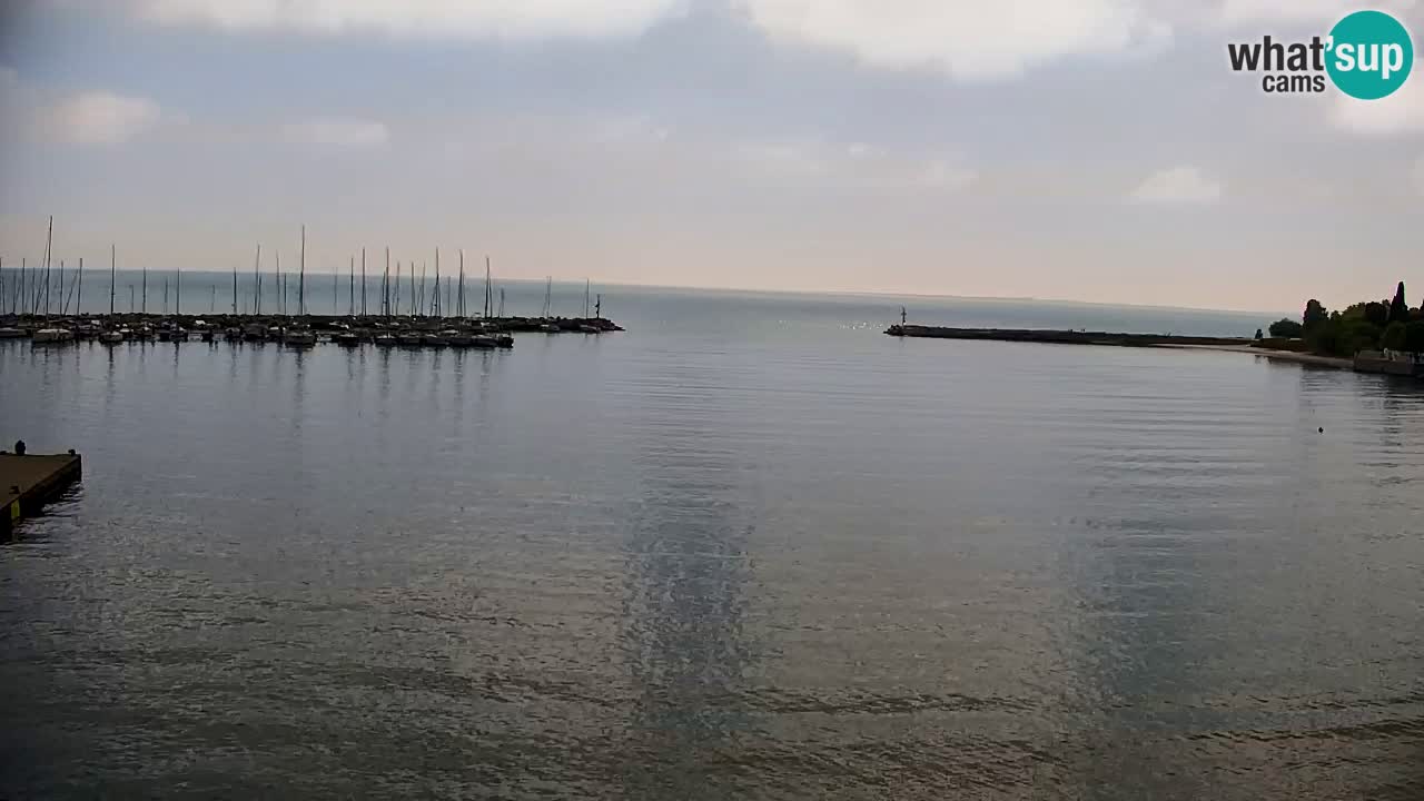 Webcam Sistiana – Vista sobre la marina y la bahía