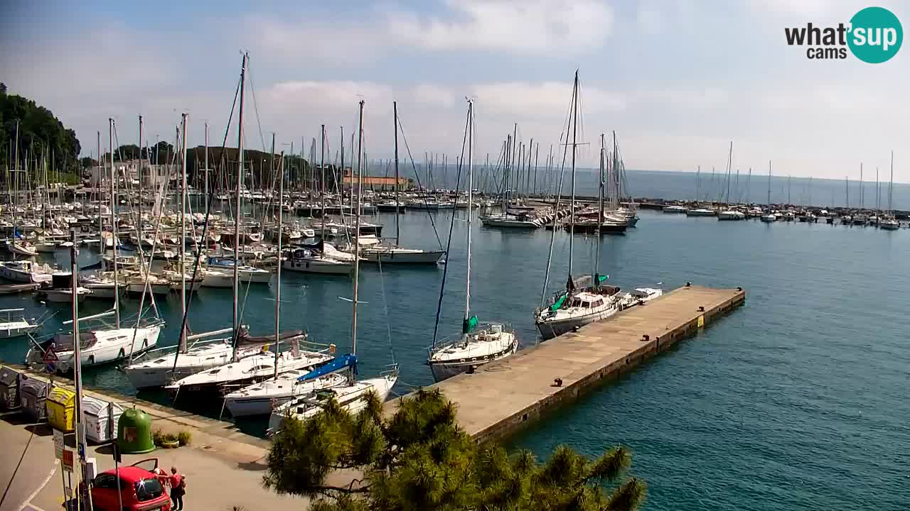 Webcam Sistiana – Marina and Bay Live View