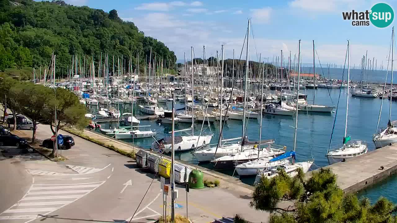 Webcam Sistiana – Marina and Bay Live View