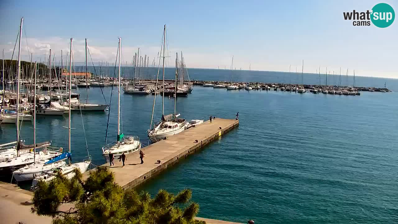 Webcam Sistiana – Pogled na marinu i zaljev