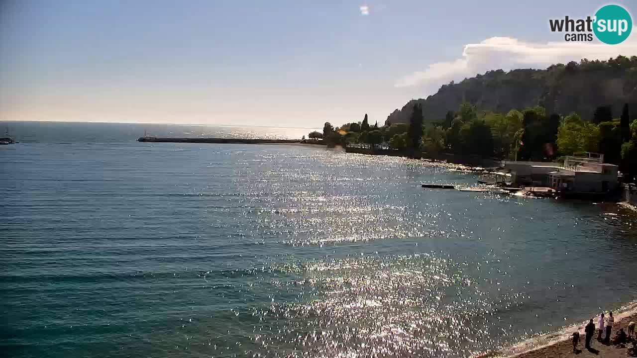 Spletna kamera Sesljan (Sistiana) – Pogled na marino in zaliv
