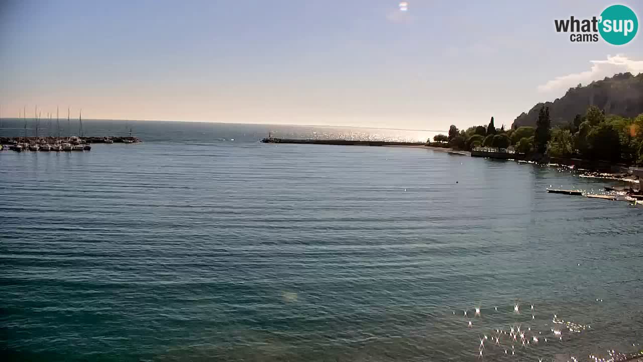 Webcam Sistiana – Marina and Bay Live View