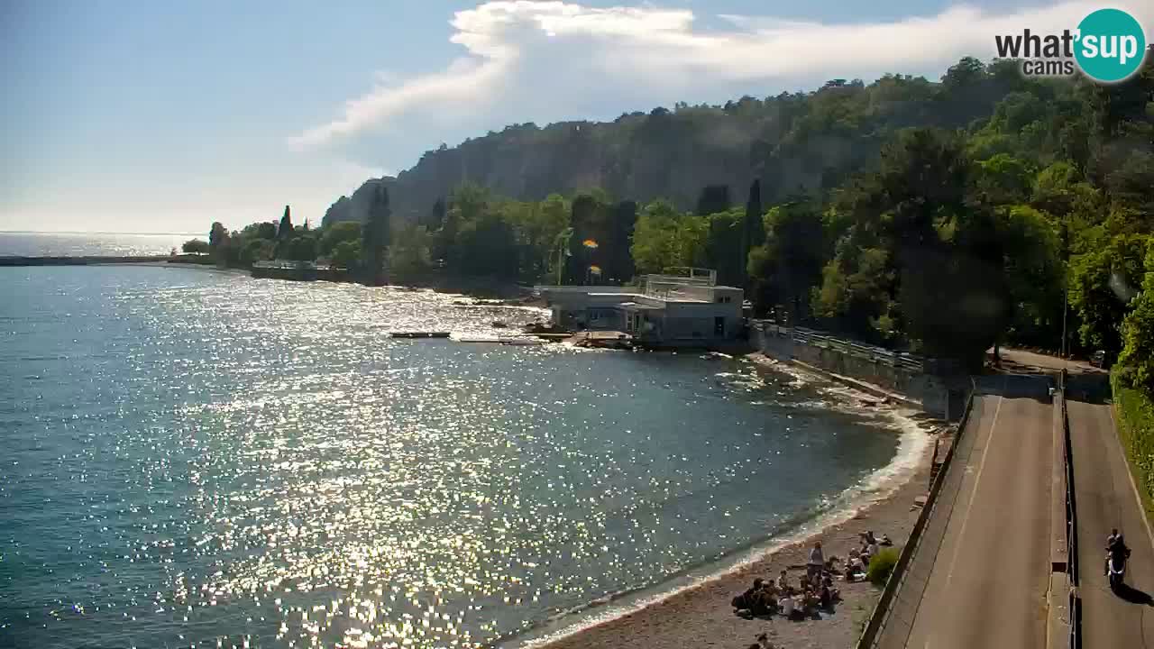 Spletna kamera Sesljan (Sistiana) – Pogled na marino in zaliv