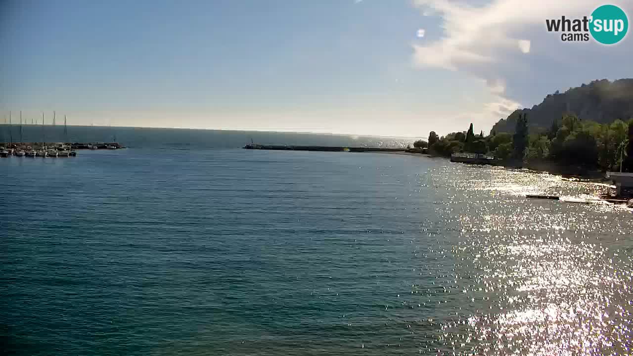 Webcam Sistiana – Pogled na marinu i zaljev