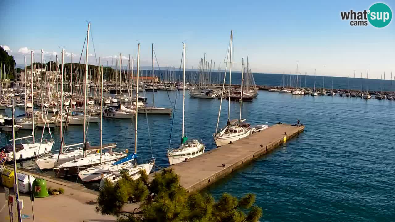 Webcam Sistiana – Marina and Bay Live View