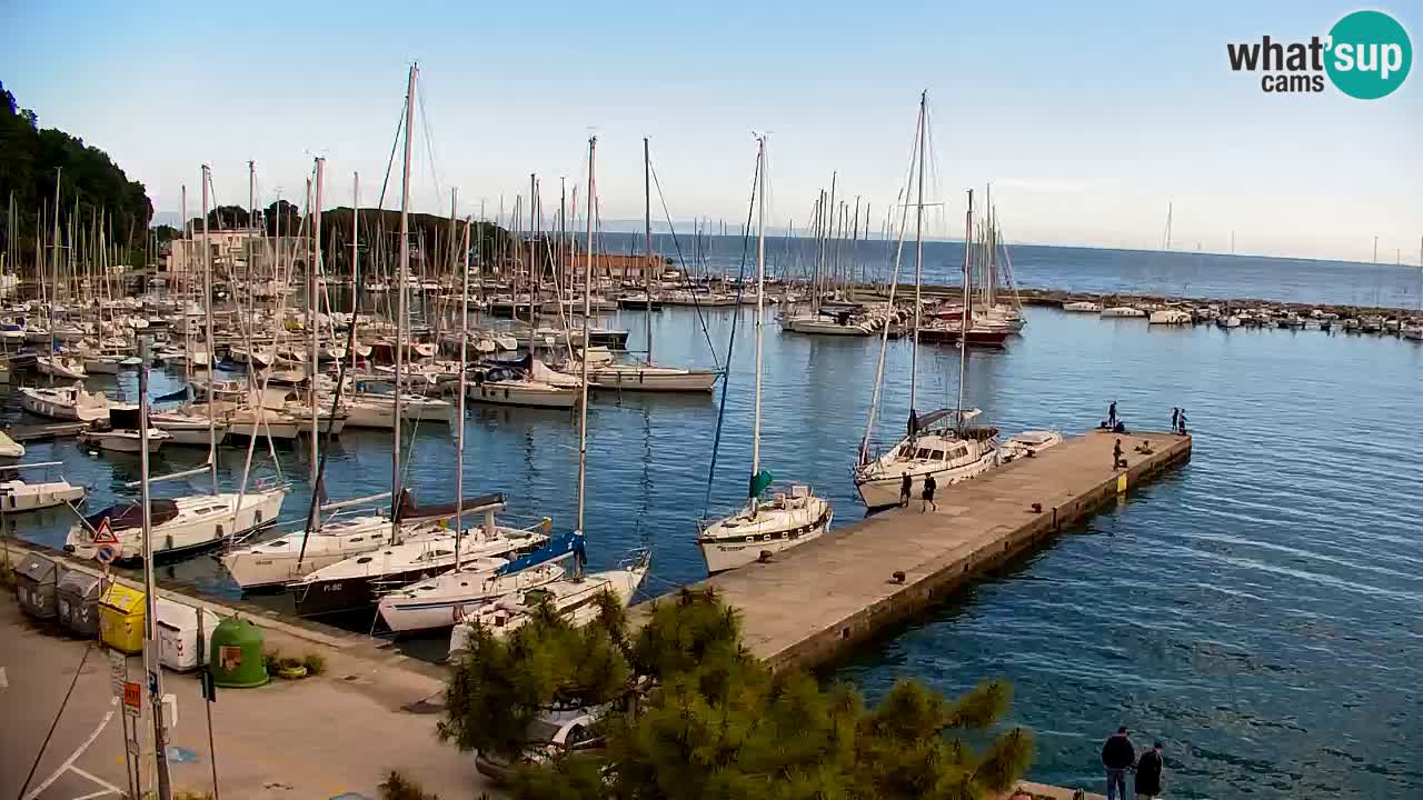 Spletna kamera Sesljan (Sistiana) – Pogled na marino in zaliv