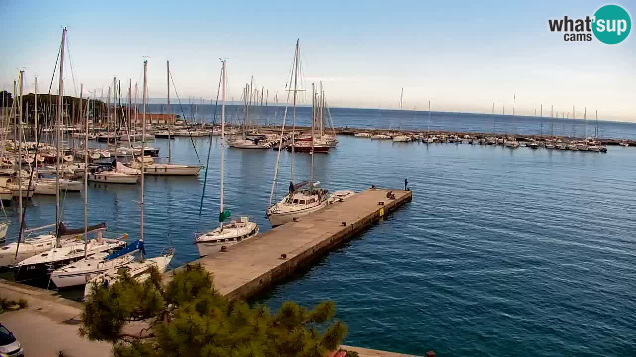 Webcam Sistiana – Marina and Bay Live View