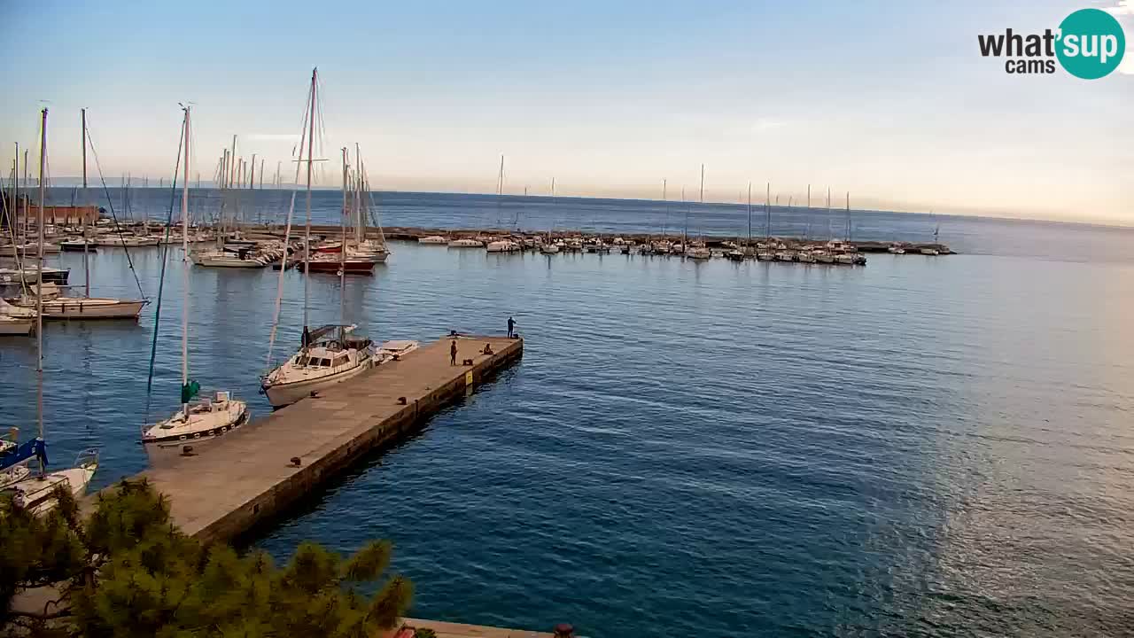 Spletna kamera Sesljan (Sistiana) – Pogled na marino in zaliv