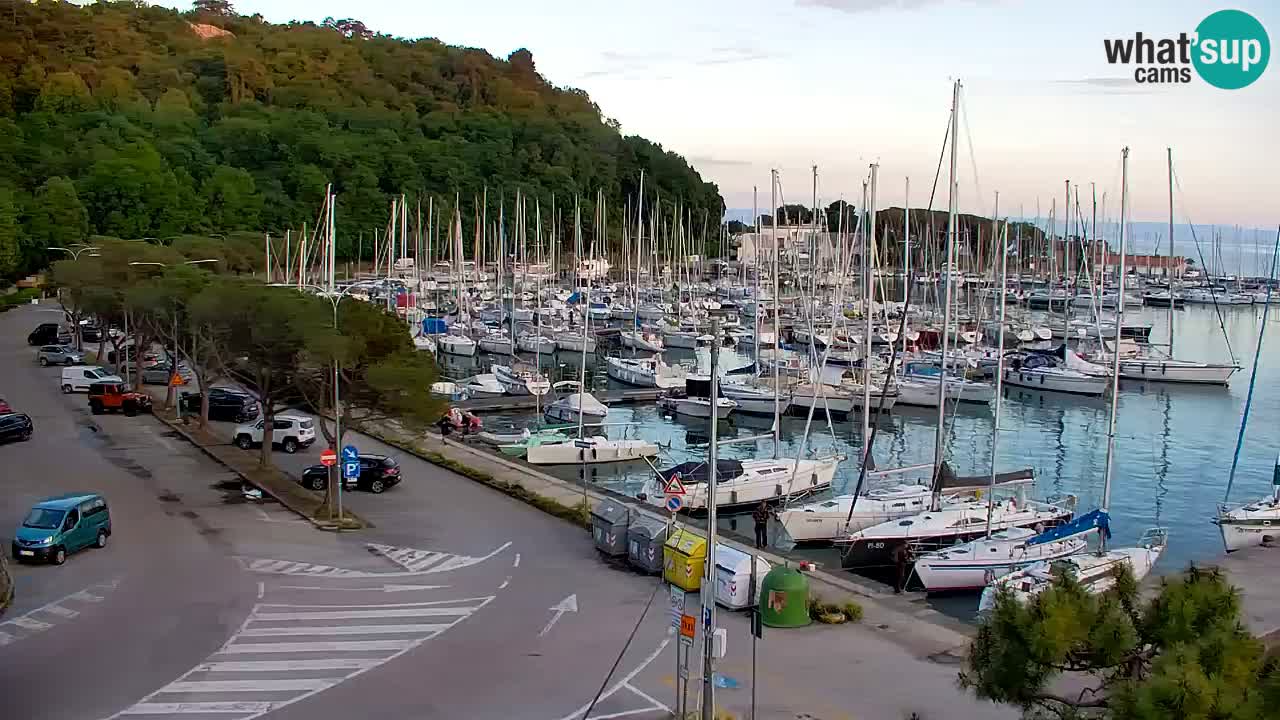 Spletna kamera Sesljan (Sistiana) – Pogled na marino in zaliv