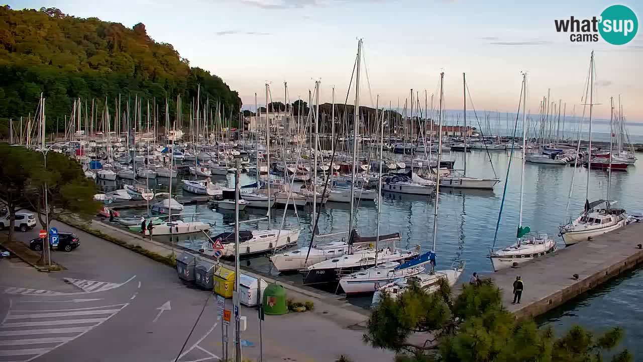 Webcam Sistiana – Pogled na marinu i zaljev