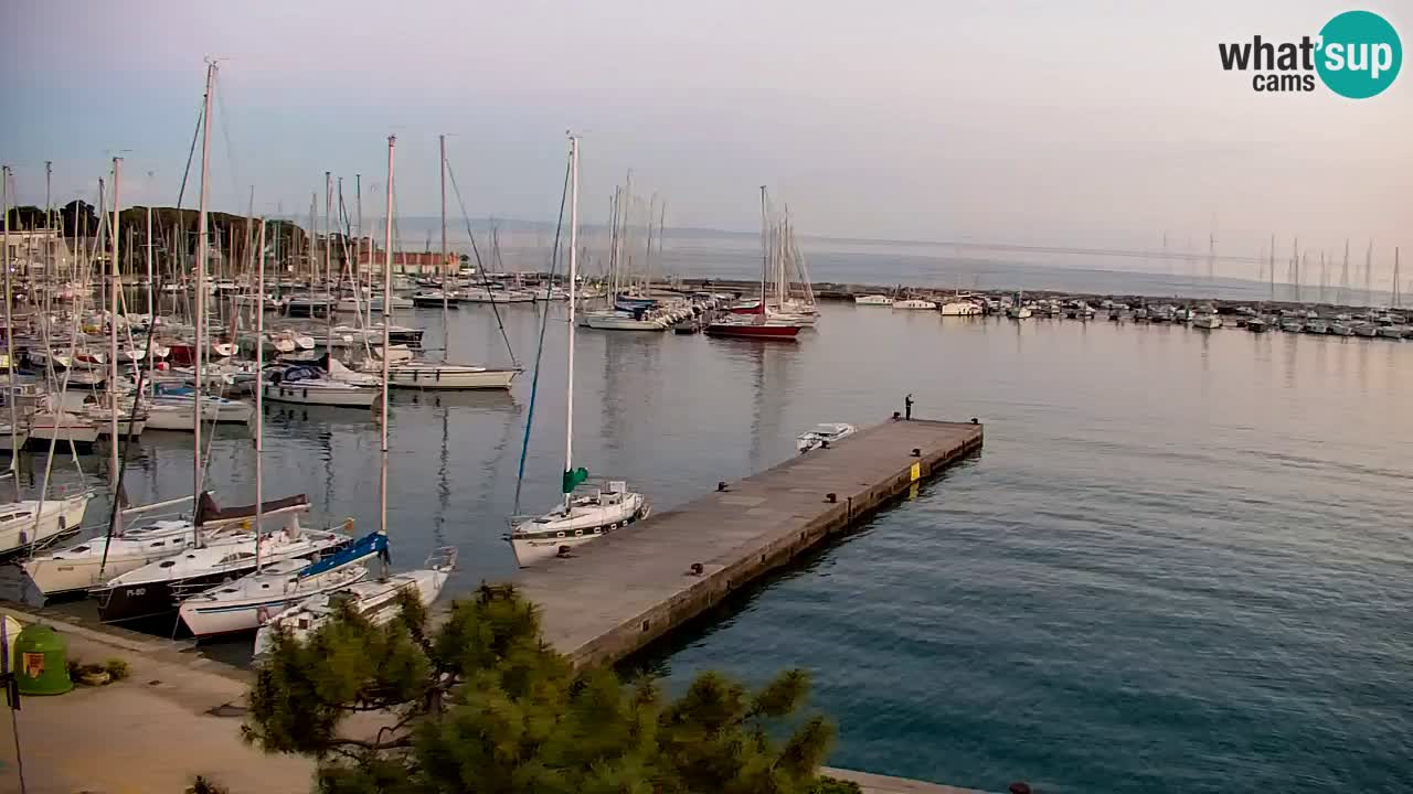 Webcam Sistiana – Marina and Bay Live View