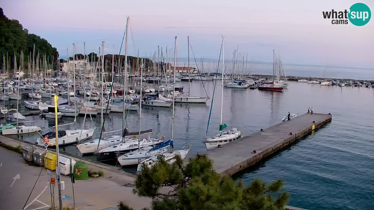 Webcam Sistiana – Vista sulla marina e sulla baia