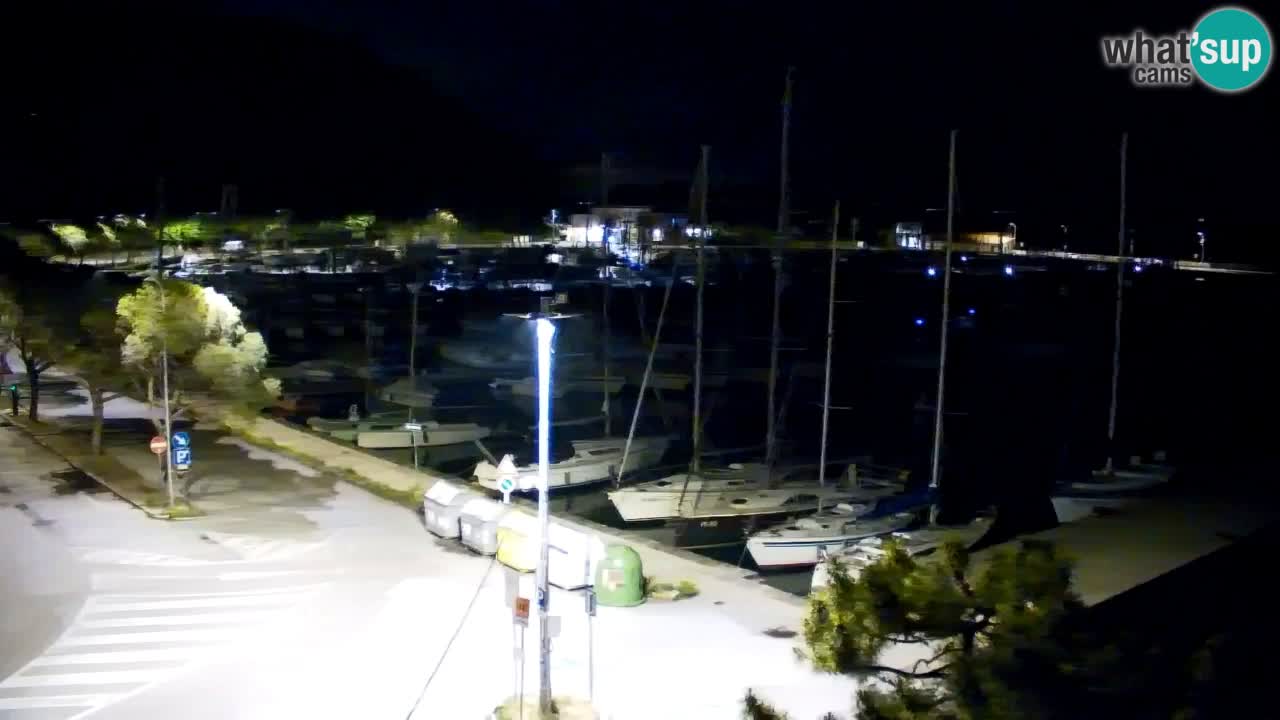 Spletna kamera Sesljan (Sistiana) – Pogled na marino in zaliv