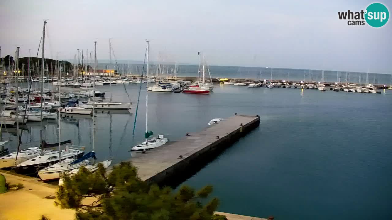 Webcam Sistiana – Marina and Bay Live View
