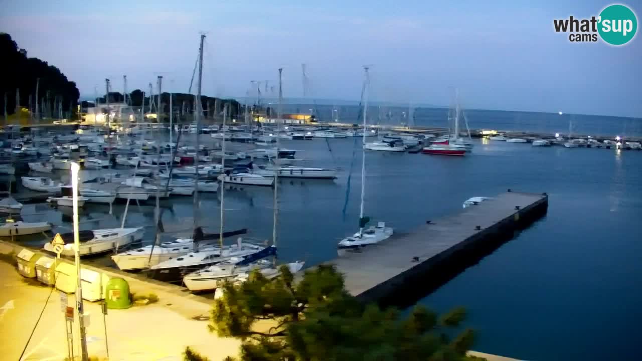 Webcam Sistiana – Vue sur la marina et la baie