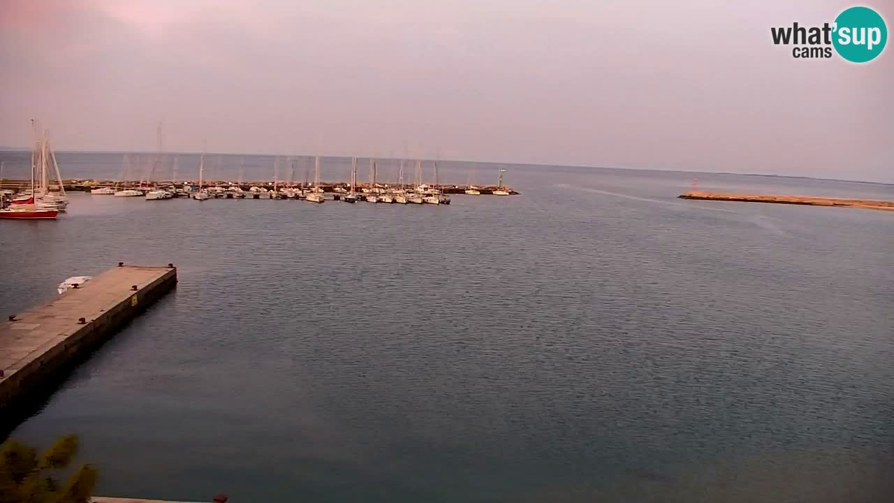 Webcam Sistiana – Marina and Bay Live View
