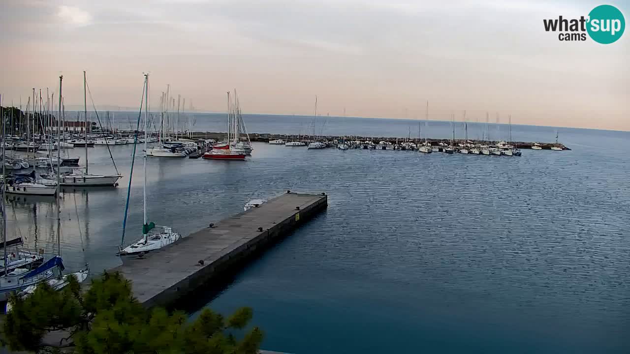 Webcam Sistiana – Pogled na marinu i zaljev