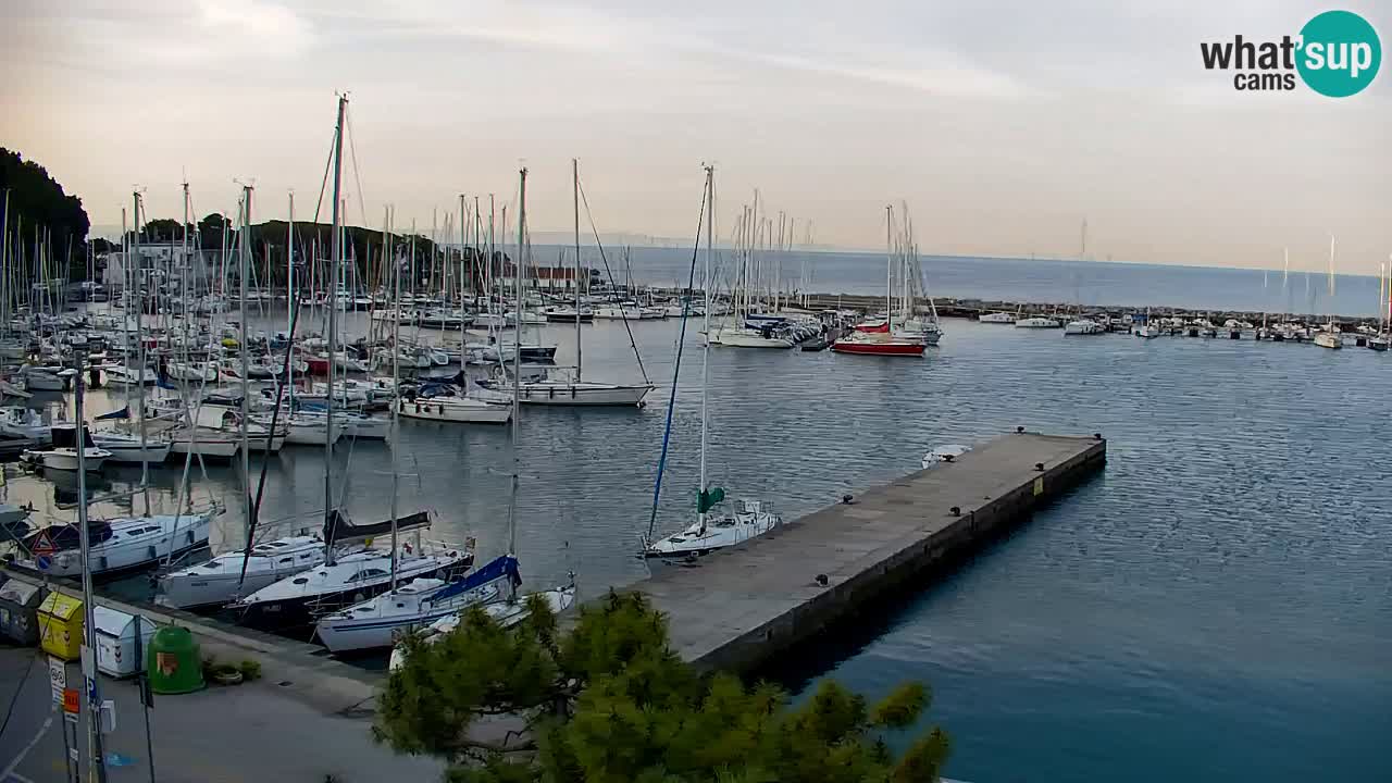 Webcam Sistiana – Marina and Bay Live View