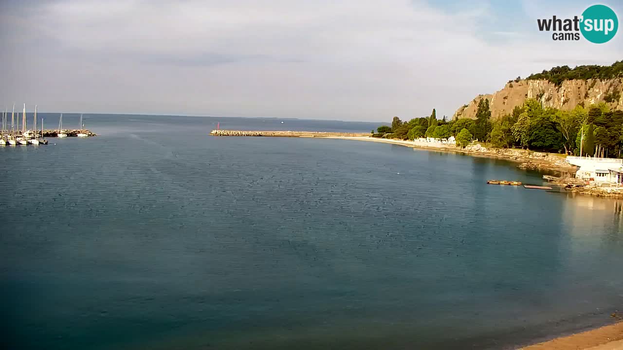Spletna kamera Sesljan (Sistiana) – Pogled na marino in zaliv