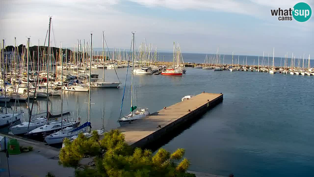Webcam Sistiana – Marina and Bay Live View