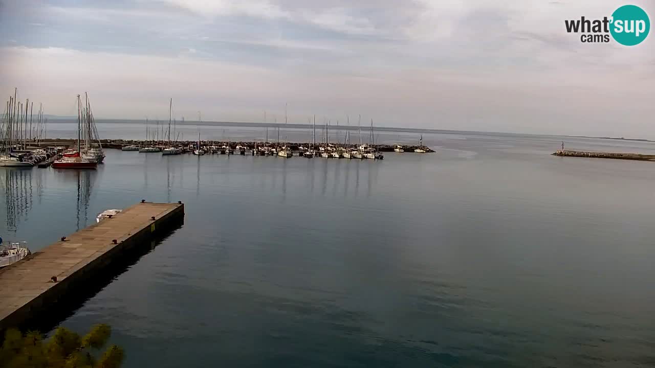 Webcam Sistiana – Vista sobre la marina y la bahía