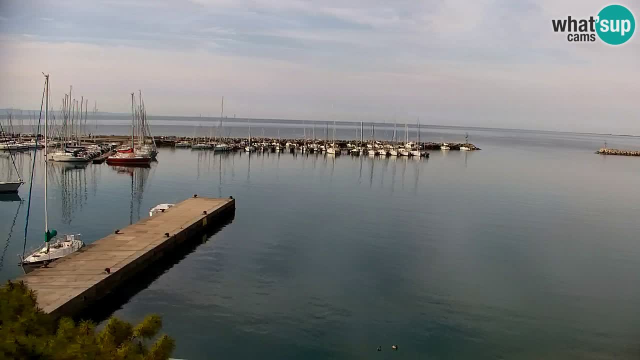 Webcam Sistiana – Marina and Bay Live View