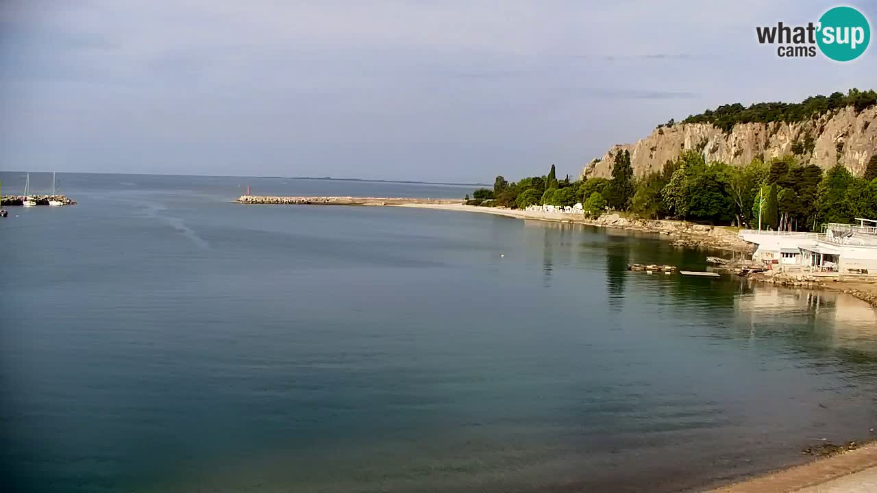 Spletna kamera Sesljan (Sistiana) – Pogled na marino in zaliv
