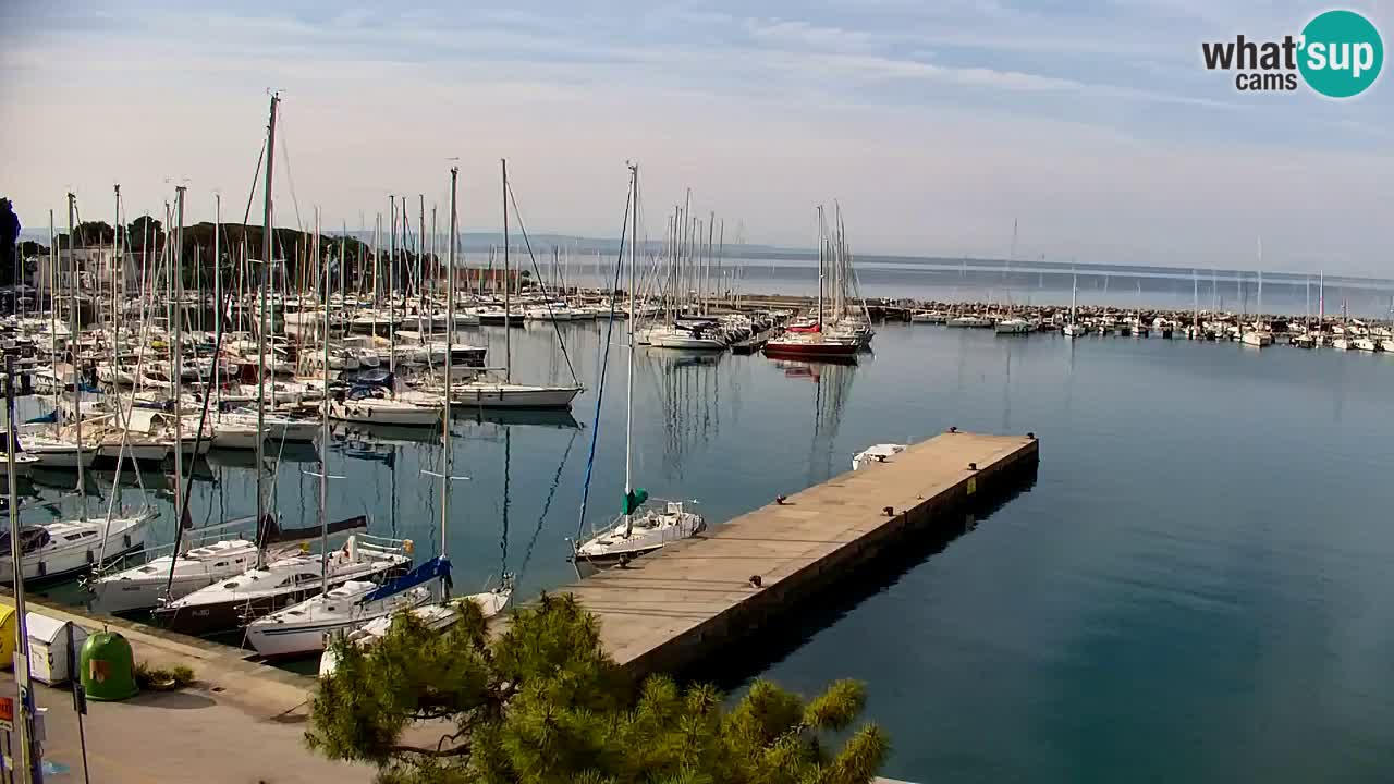 Webcam Sistiana – Blick auf Marina und Bucht