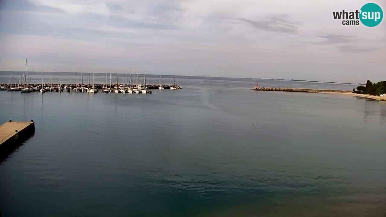 Webcam Sistiana – Vista sobre la marina y la bahía