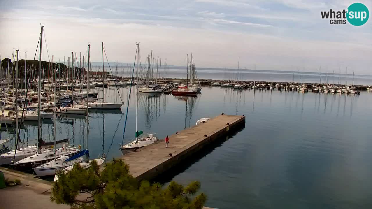 Webcam Sistiana – Marina and Bay Live View