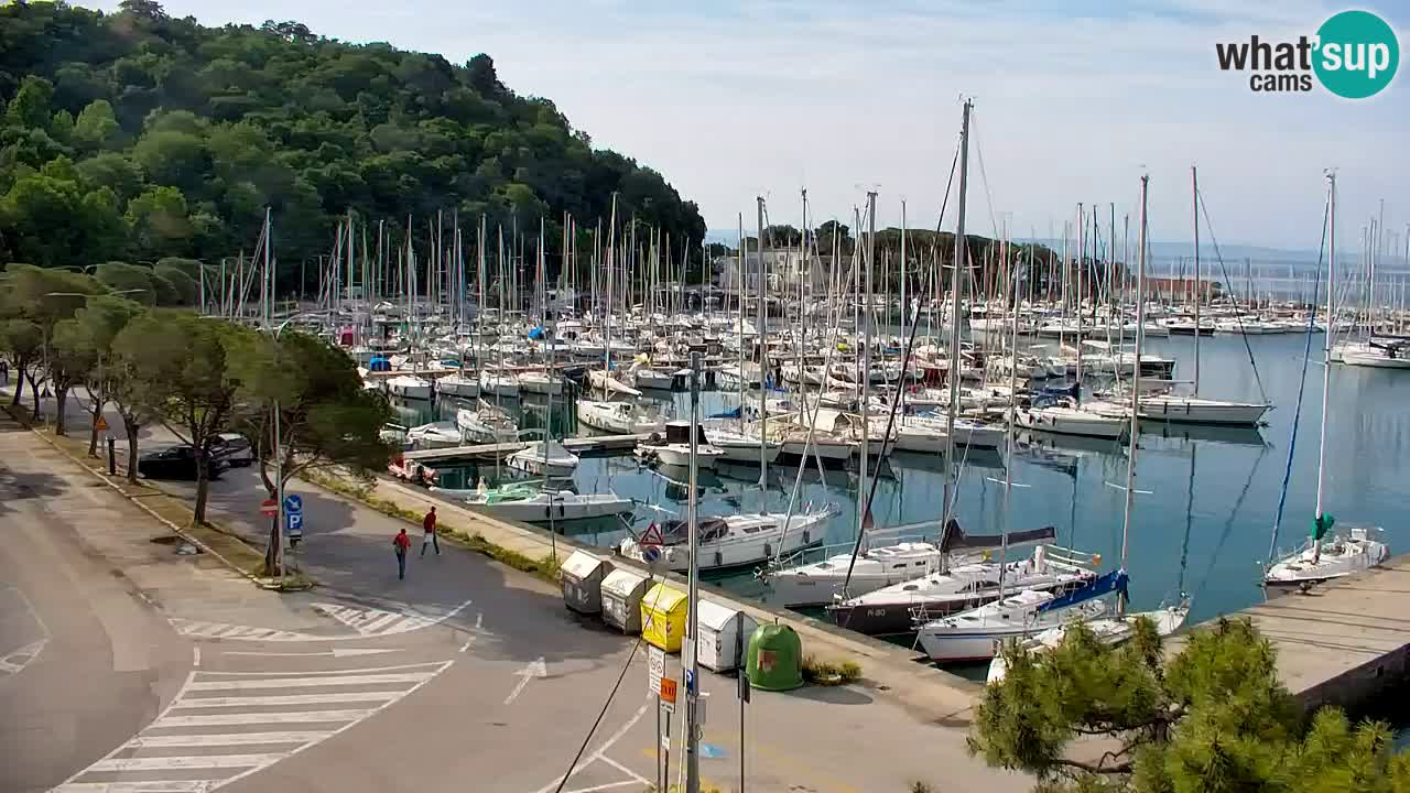 Webcam Sistiana – Marina and Bay Live View