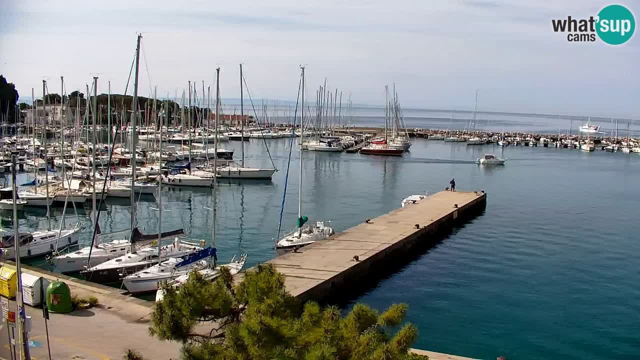 Webcam Sistiana – Marina and Bay Live View