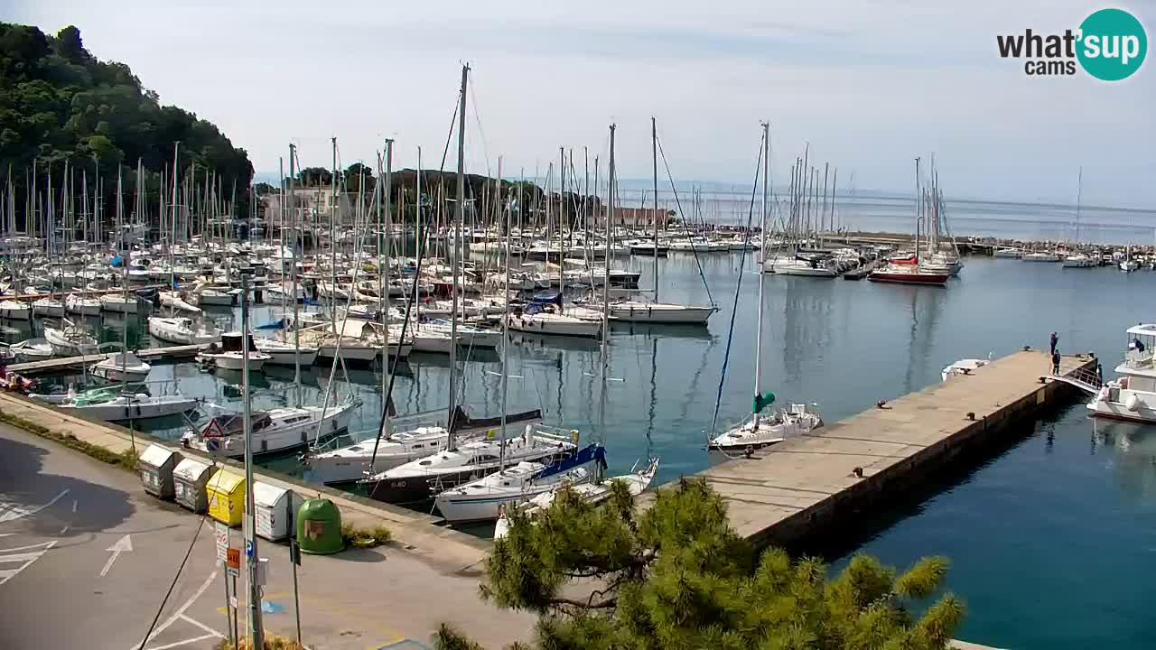 Webcam Sistiana – Blick auf Marina und Bucht