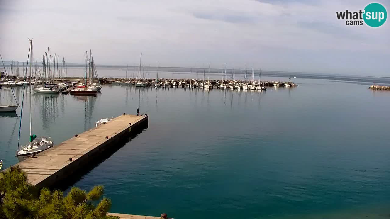Webcam Sistiana – Vue sur la marina et la baie