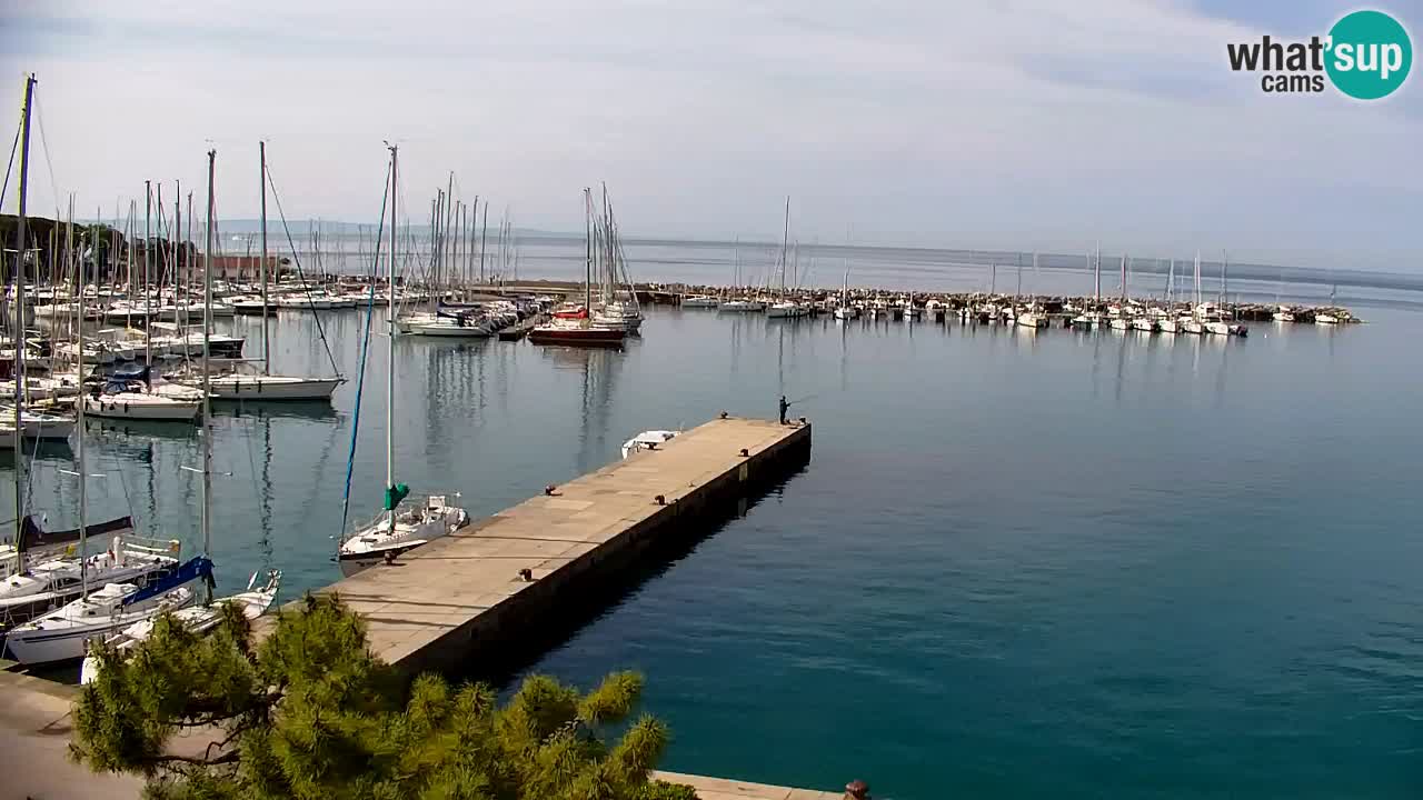 Webcam Sistiana – Blick auf Marina und Bucht