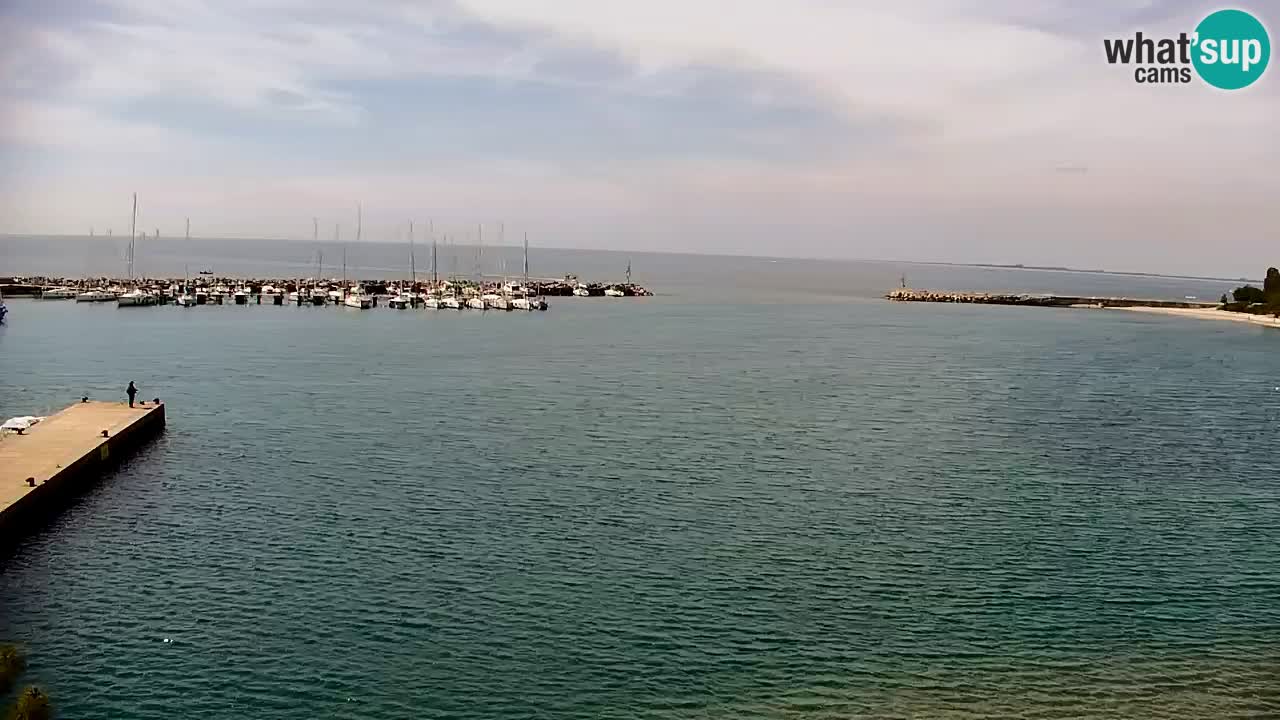 Spletna kamera Sesljan (Sistiana) – Pogled na marino in zaliv