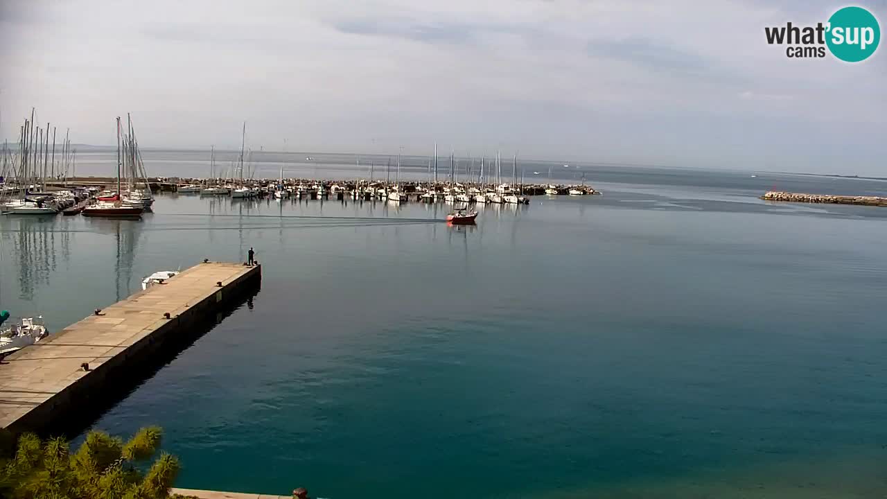 Webcam Sistiana – Vue sur la marina et la baie