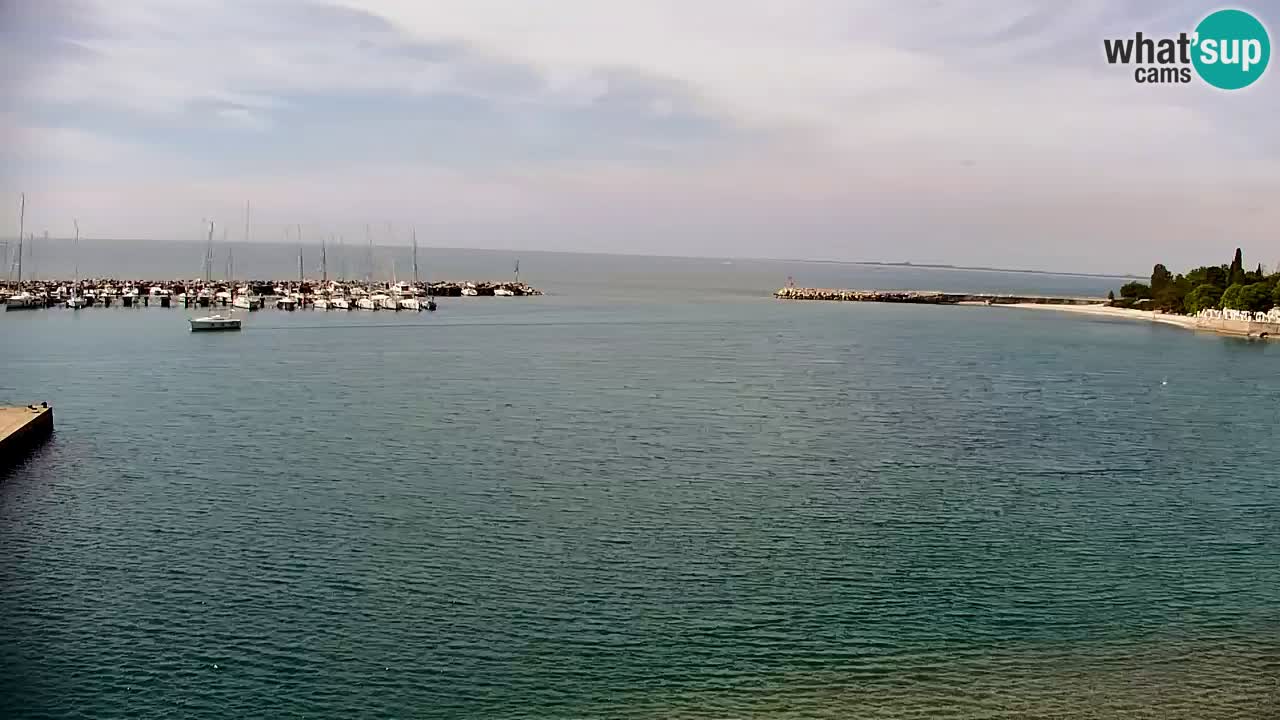 Webcam Sistiana – Blick auf Marina und Bucht