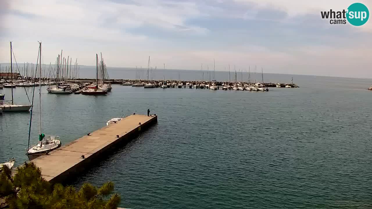 Webcam Sistiana – Vue sur la marina et la baie