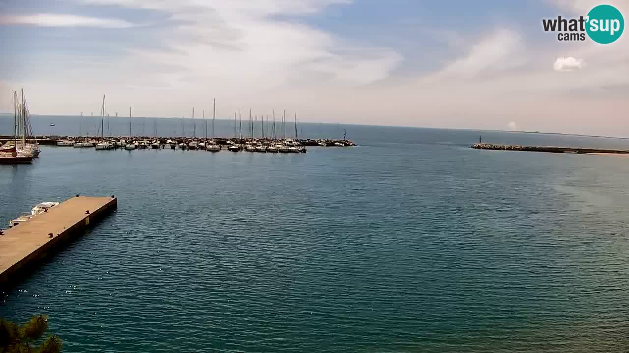 Spletna kamera Sesljan (Sistiana) – Pogled na marino in zaliv