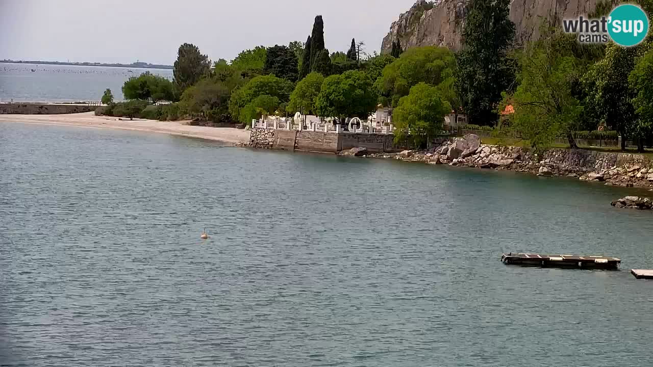 Webcam Sistiana – Marina and Bay Live View