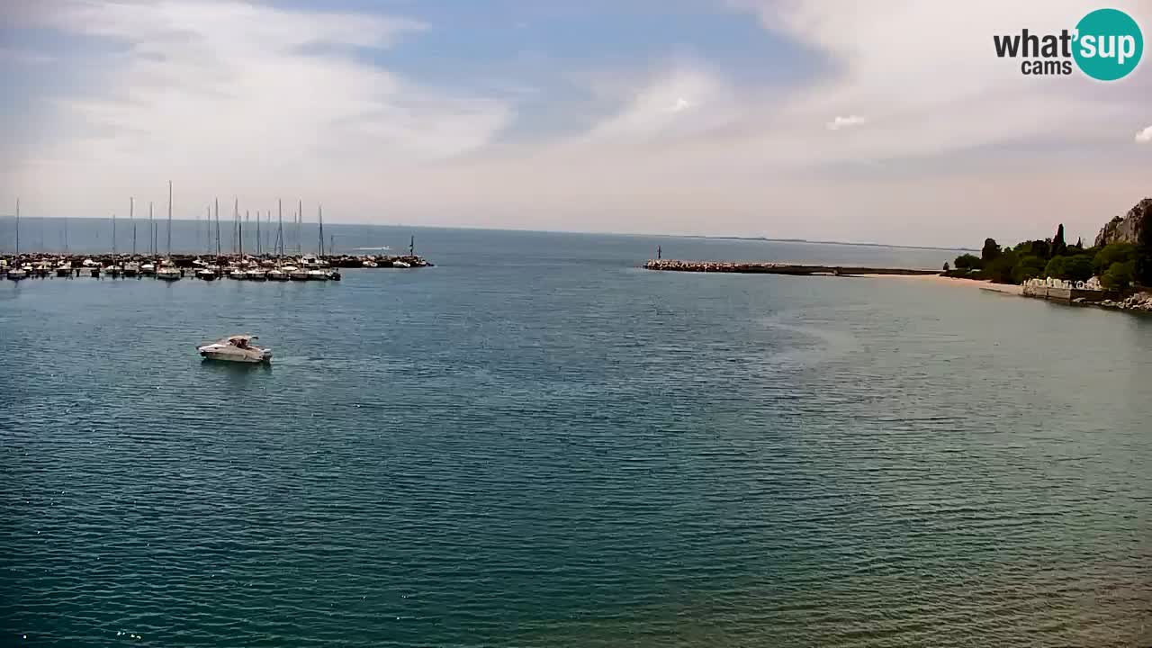 Spletna kamera Sesljan (Sistiana) – Pogled na marino in zaliv