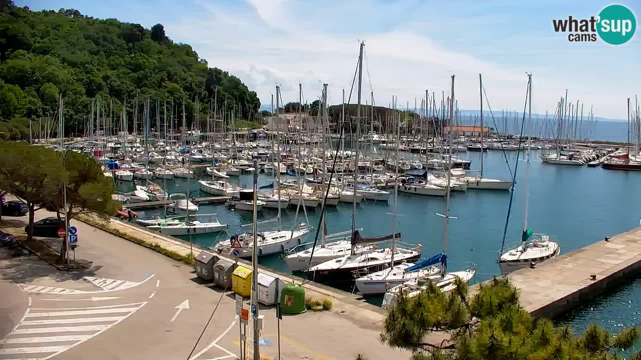 Webcam Sistiana – Marina and Bay Live View