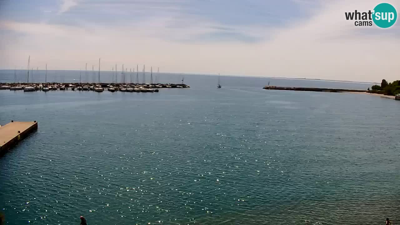 Webcam Sistiana – Marina and Bay Live View